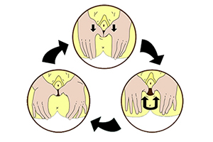 Three images showing how to massage the perineum. From bottom left moving clockwise: Insert thumbs into the  vagina; move thumbs and forefingers downwards together; move thumbs and forefingers upwards and outwards then back again, in a U shaped movement.